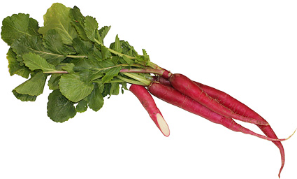 Red Daikon Radish picture