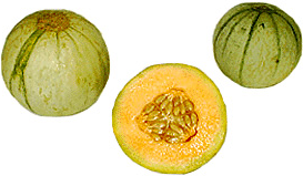 French Breakfast Melons picture