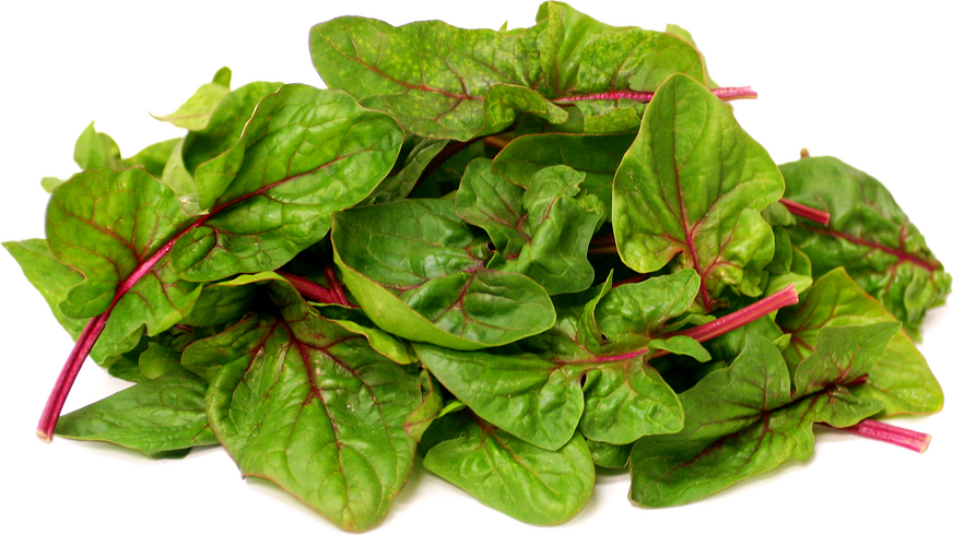 Red Okame Spinach picture