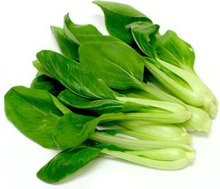 Baby Bok Choy picture