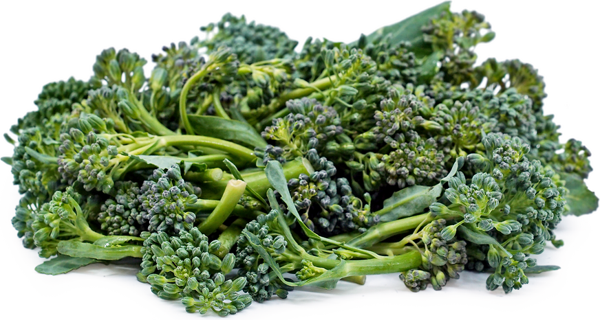 Italian Di Ciccio Broccoli picture