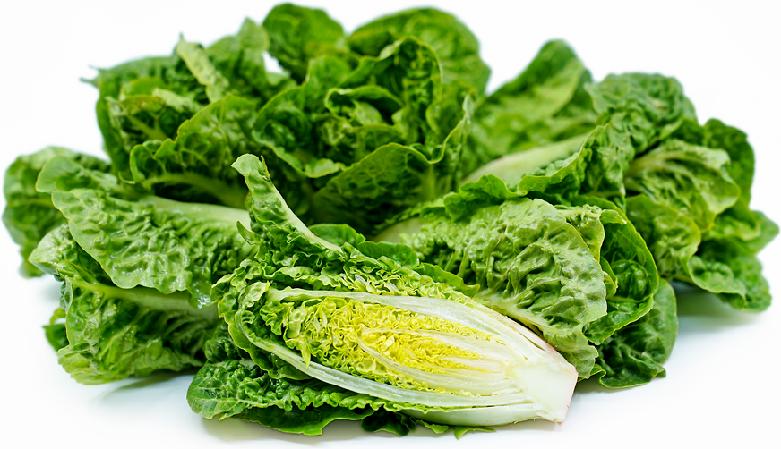 romaine lettuce nutritional value