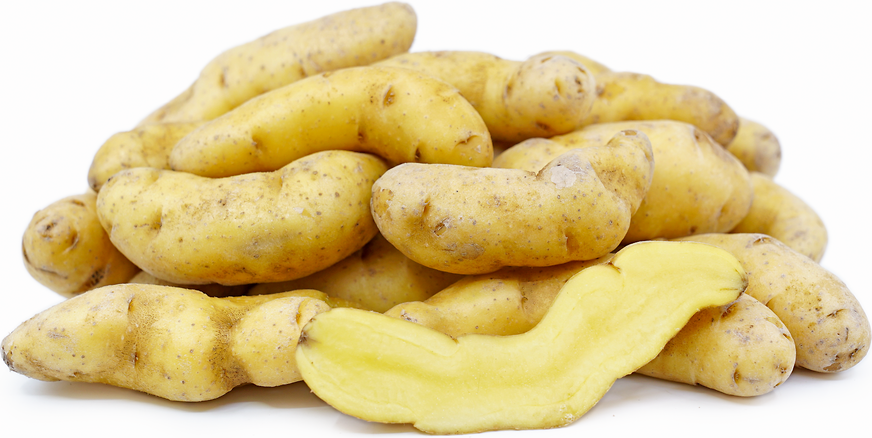 Russian Banana Fingerling Potatoes picture
