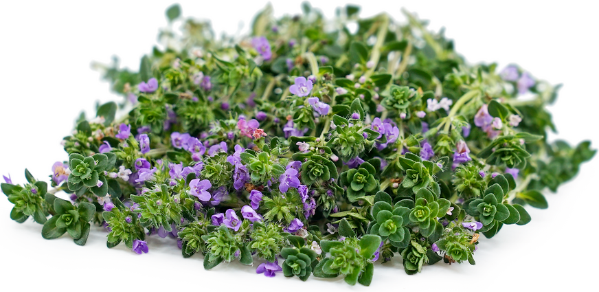 bunch of thyme to dried