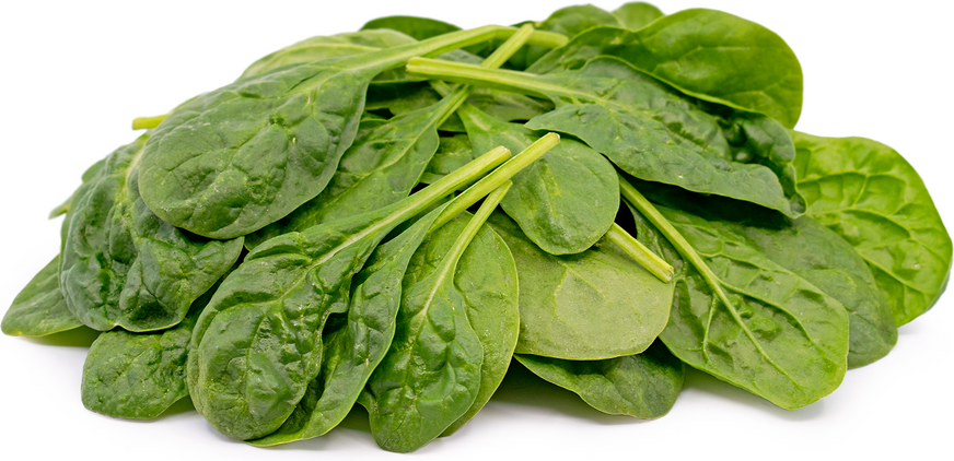 Baby Spoon Spinach picture