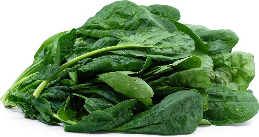 Organic Bunch Spinach Information And Facts