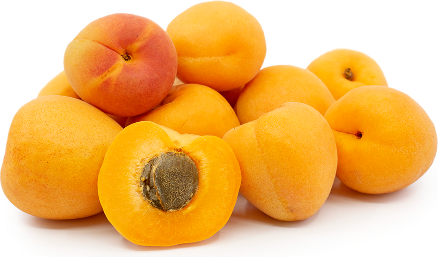 Modesto Apricots picture