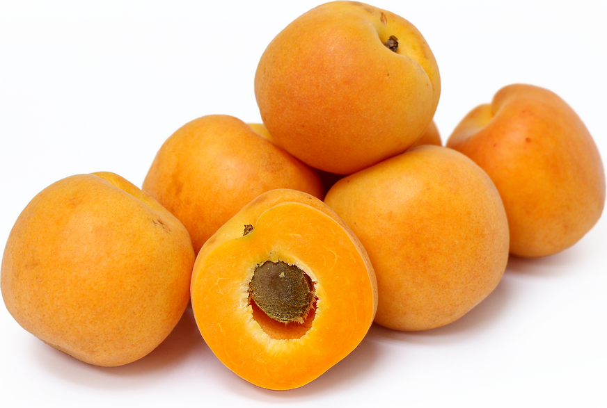 Apricots picture