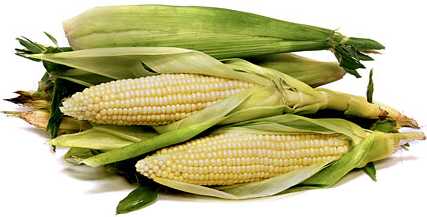 White Corn picture