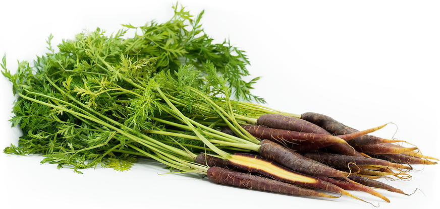 Red Bunched Carrots picture