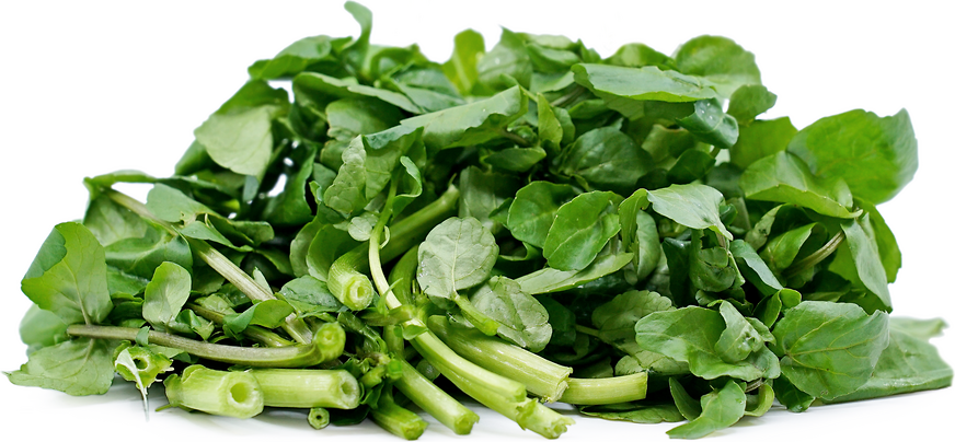 Watercress picture