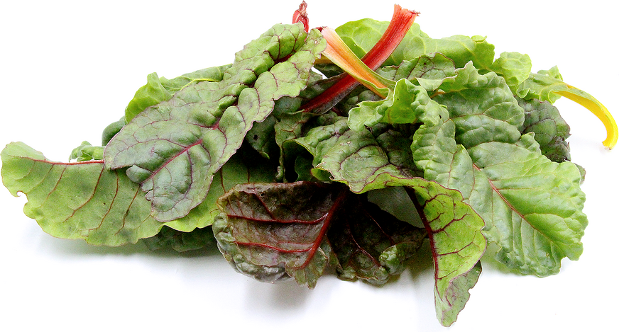 Rainbow Baby Swiss Chard picture