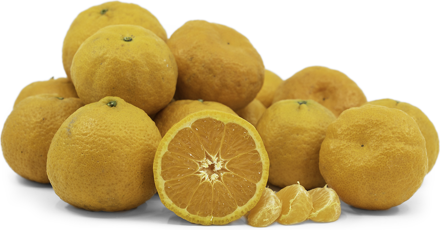 Gold Nugget Tangerines picture