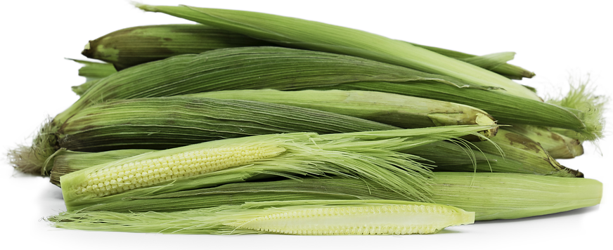 Baby Corn picture