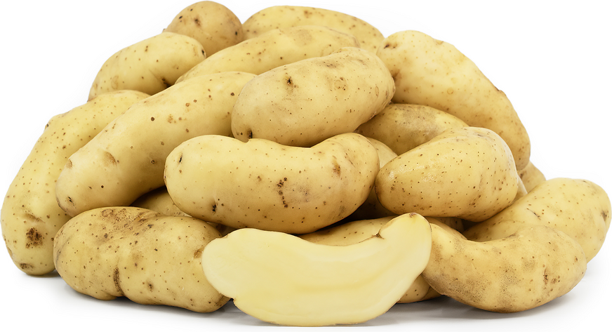 types of potatoes