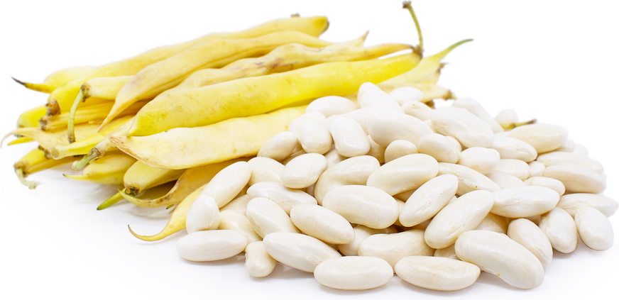 Cannelini Shelling Beans picture