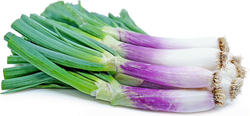Torpedo Red Onions picture