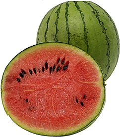 Baby Japanese Watermelons picture