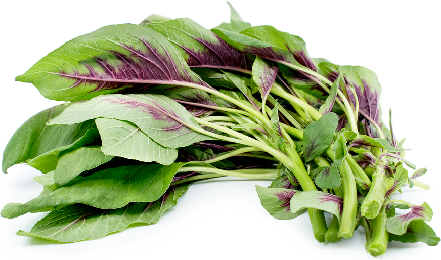 Red Amaranth Greens picture