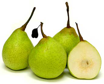 Asian Pears picture