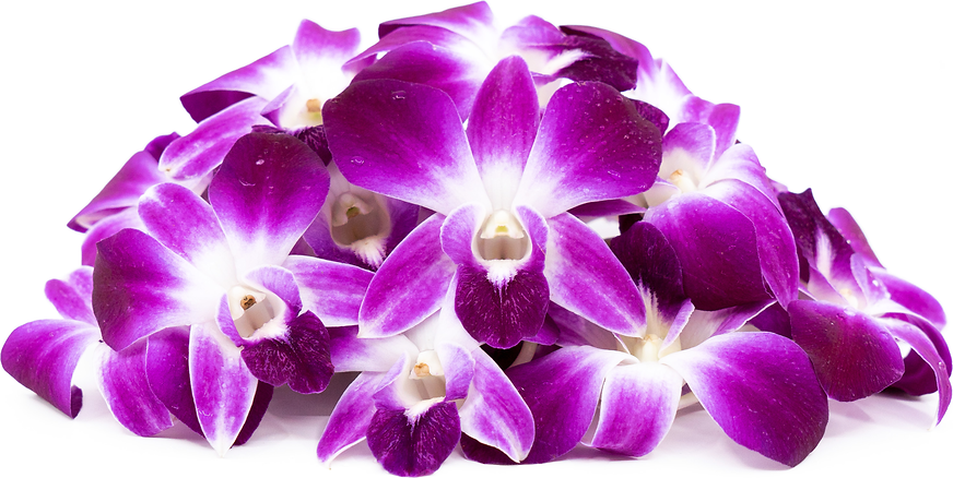 Fresh Flowers Orchids picture