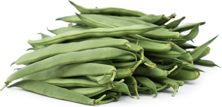 Romano Beans Information, Recipes and Facts