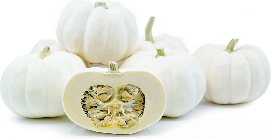 Mini White Pumpkins picture