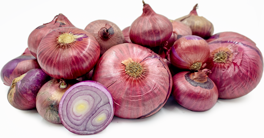 Red Cipollini Onions picture