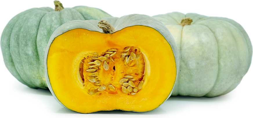 Blue Pumpkins Information, Recipes and Facts