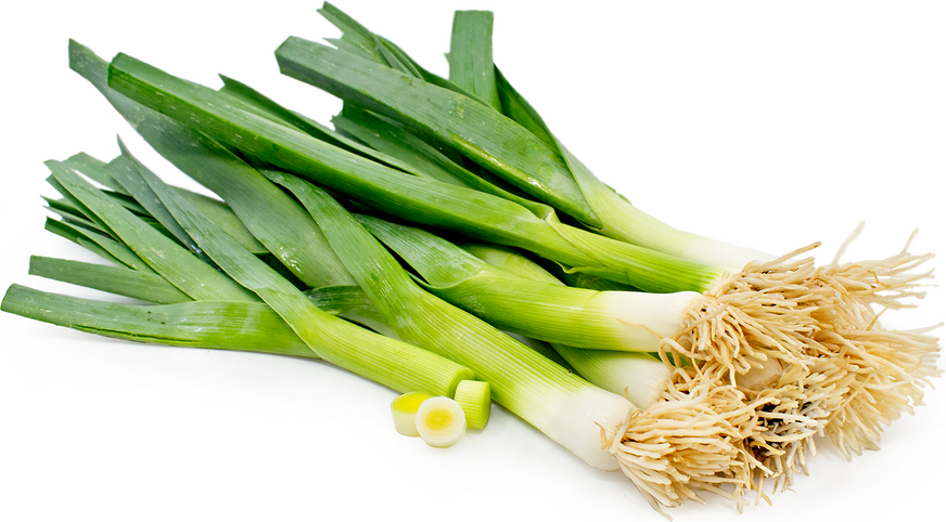 Baby Leeks Information and Facts