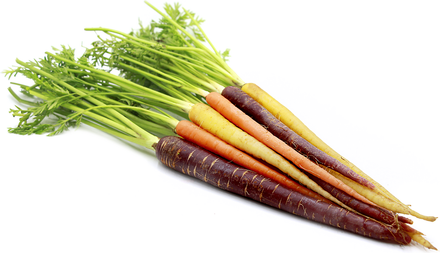 Rainbow Bunch Carrots picture