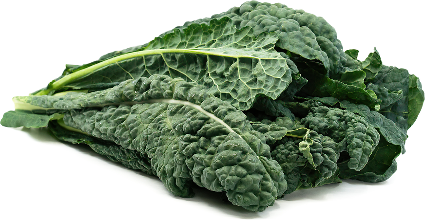 Cabbage, chard, collard greens, endive, lettuce, kale, mustard