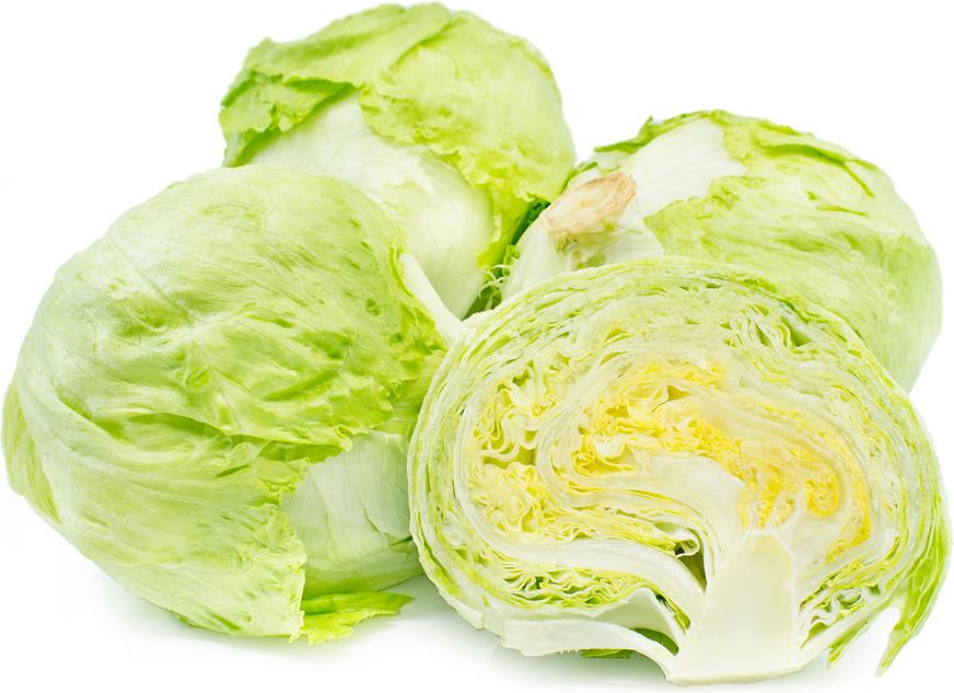 Iceberg Lettuce picture