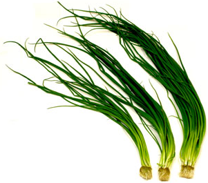 Green Onion Chives Information And Facts,Chow Chow Relish For Sale