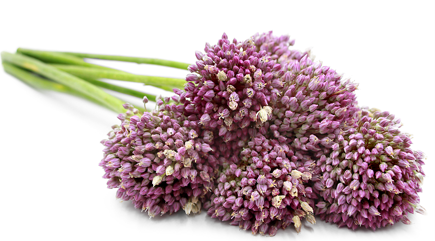 Garlic Flowers picture