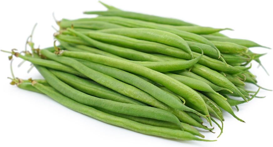 French Beans Information and Facts