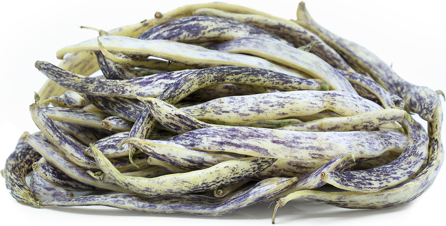 Dragon Tongue Beans picture