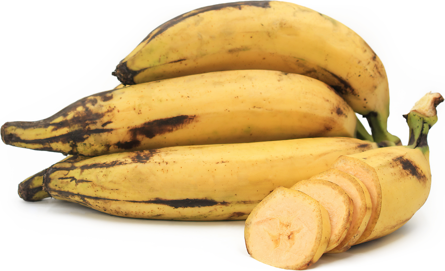 Yellow Plantain Bananas Information, Recipes and Facts