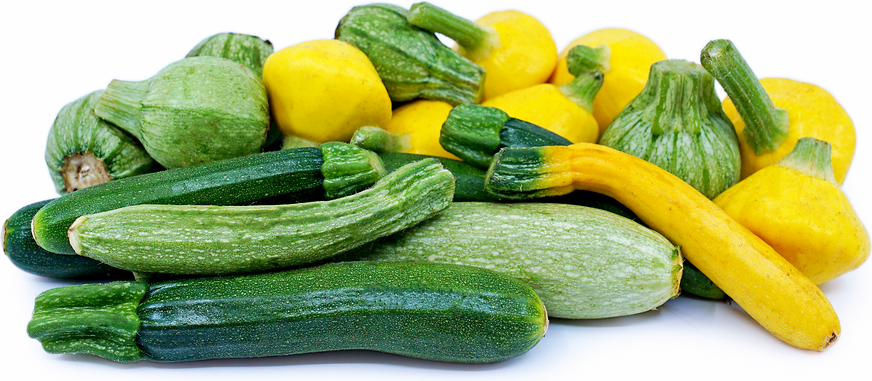 Baby Summer Squash Mix picture