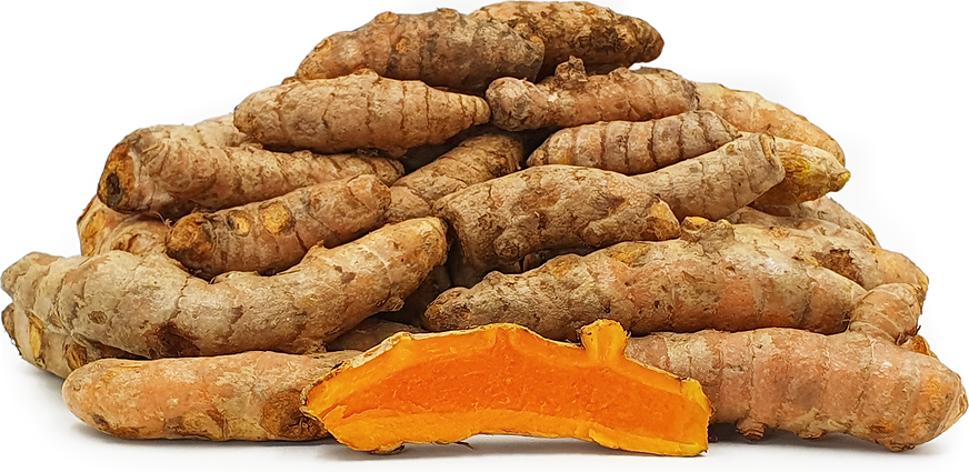 Turmeric Root