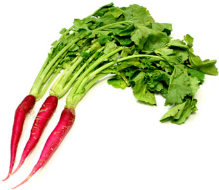 Spanish Radishes picture