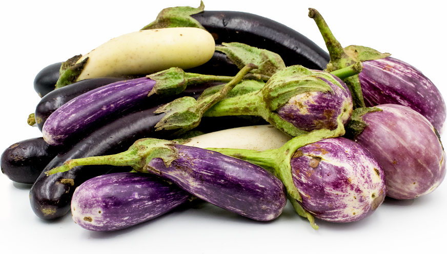 Heirloom Eggplant Mix picture
