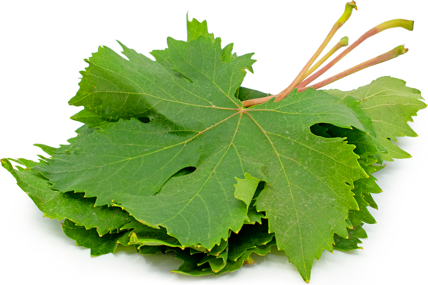 Grape Leaves picture