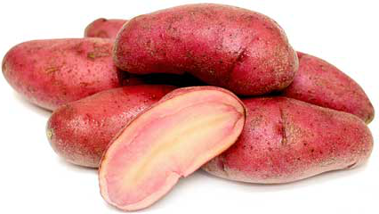 Red Thumb Fingerling Potatoes 
