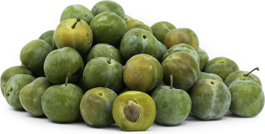 Greengage Plums Information and Facts