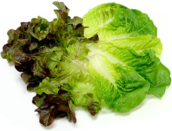Heirloom Mixed Lettuce Leaves picture