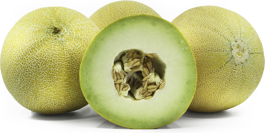Arava Melon picture
