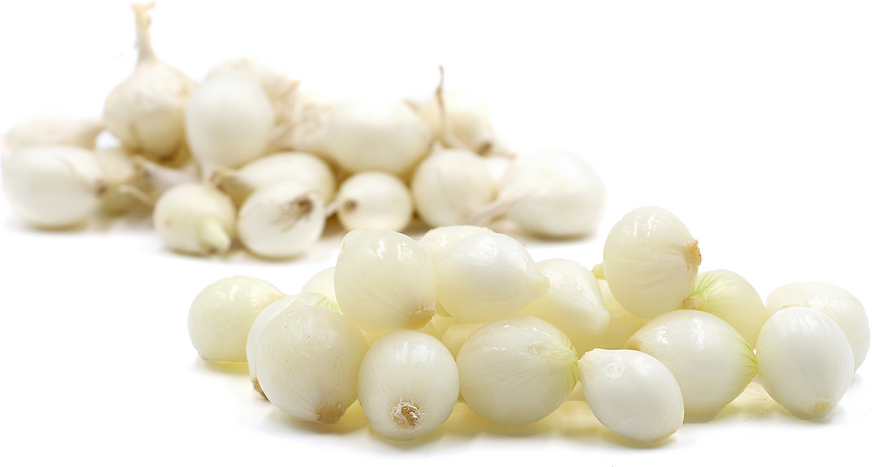 Peeled White Pearl Onions picture