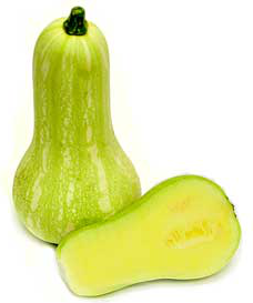 Zucchini Butternut Squash picture