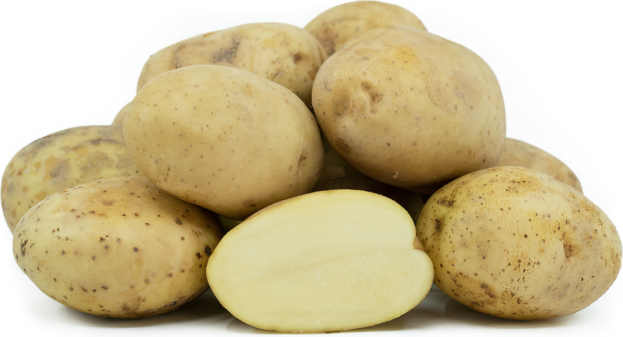 Jersey Royal Potatoes Information and Facts